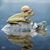 Carol Webb's profile image