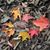 Mary Barnhart Smith's profile image
