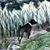 Ethel See's profile image