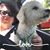 Lisa McNamara's profile image