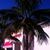 Dee Le's profile image