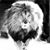 Michelle MacDonald's profile image