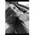 Sarah Christiné Moses's profile image
