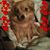 Michelle R. Aalders's profile image