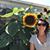 Laura van Zijl's profile image