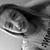 Sydney Maree Morris's profile image