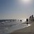 Dana Schafman Weber's profile image