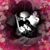 Jennifer Fellows's profile image
