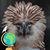 Hank Fiscus's profile image