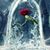Crystal Rowland's profile image