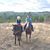 Lisa Clark Bussey's profile image