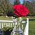 Karen Hershey Bunch's profile image