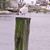 Linda Maslow-Windsor's profile image