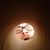 David McCoy's profile image