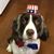 Jackie Benner Schneider's profile image