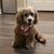 Maureen Maloney-Poldek's profile image
