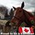 Kim Nimmo Walters's profile image