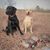 Debbie Durham Dockery's profile image