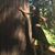 Hannah Sloboda's profile image