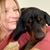 Christie Gibbons's profile image