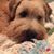 Judy Ireland Lillie Herms's profile image