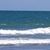 Sandy Collins's profile image