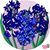 Dawn Roush's profile image