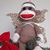Carol D'Amore Covert's profile image