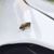 Terry Becerra-Williamson's profile image