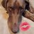 Tracy DeAngelis's profile image