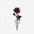 Maria Virginia's profile image