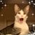 MaryAnn Nolan Jr.'s profile image