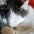 Sariah E. Howell's profile image