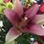 Marianna Beck's profile image