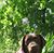 Andrea Schnur Brochu's profile image