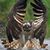 Ken Kerestesy's profile image