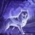 Aiden Harper's profile image