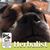 Christina V Loveland-Dupuis's profile image