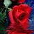 Beth Snyder's profile image