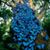 Stephanna Barnes's profile image