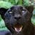Gerda Mayer's profile image