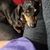 Joann Cissell Hasch's profile image