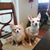 Pamela Dieter Casselberry's profile image