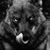 Mayin Ramirezc's profile image