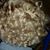 Marie Folker's profile image