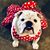 Doreen Chopp's profile image