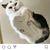 Kiran Noman's profile image