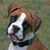 Keith Morrow's profile image