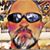 Brandon Milam's profile image