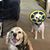 Tara M Smith's profile image